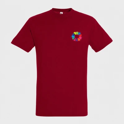 Tee-shirt_Regent face